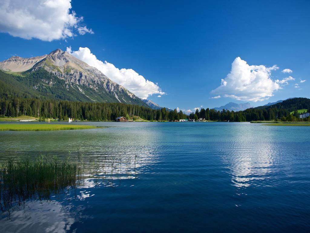 Schweizerhof Ferienwohnungen Lenzerheide 1 Exteriör bild